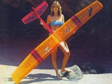 Plantillas de planos impresos modelo avión Big Birdi Powered Sailplane 99" WS RC