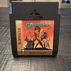 Original Gauntlet for the Nintendo Entertainment System (NES) by Tengen.