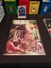 Amazing Spider-Man #1 (2025) - 1:50 Ratio Malavia Black Cat Virgin Variant MINT