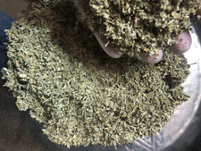 organic DAMIANA cut c/s wild crafted bulk natural herb leaf - 1 oz ounce