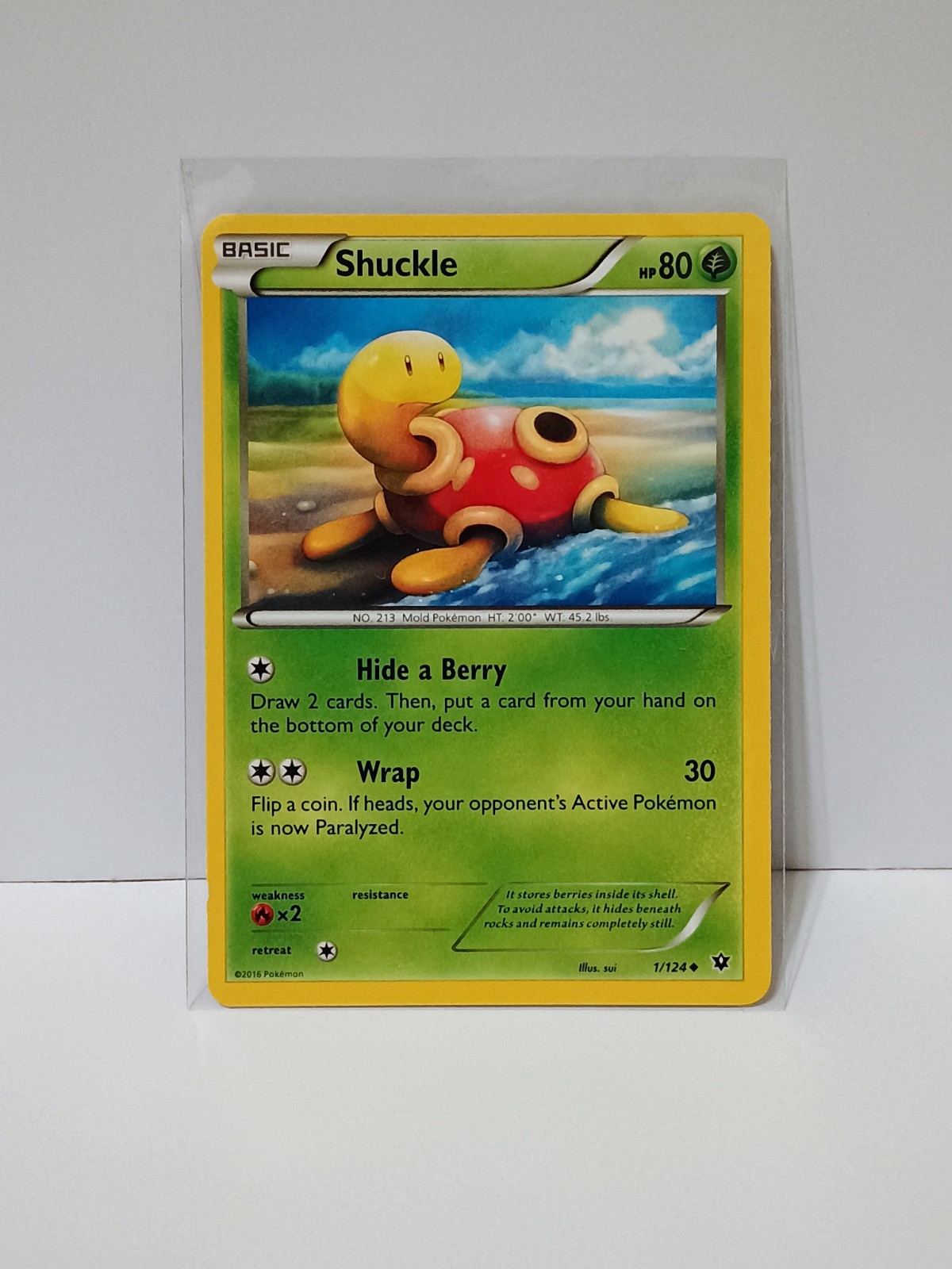 Shuckle 1/124 XY - Fates Collide Regular Pokemon TCG Card [ENG]**