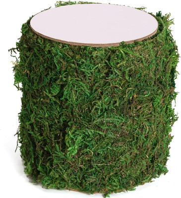USMOLA Moss Roll, Dried Moss for Crafts, Moss Table Runner for Fairy Gardens, We