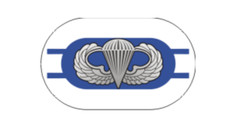 4" 2nd battalion 325th airborne oval army bumper sticker decal usa made