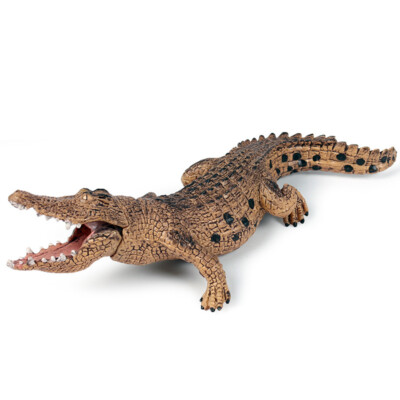 TOY Model alligators crocodile Simulate solid wildlife