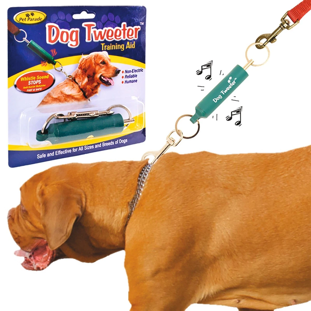 Whistle top collar attachment