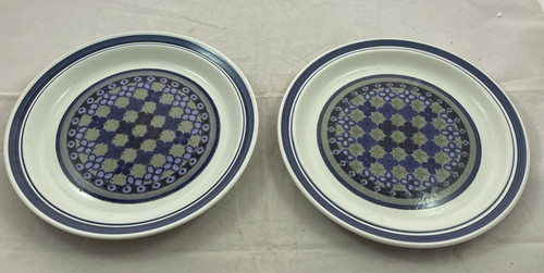 Royal Doulton "Tangier" 10 3/8 Inch Dinner Plates Set of 2