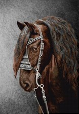 Bead Embroidery Kit Horse DIY Bead needlepoint Beadwork Tela Artis