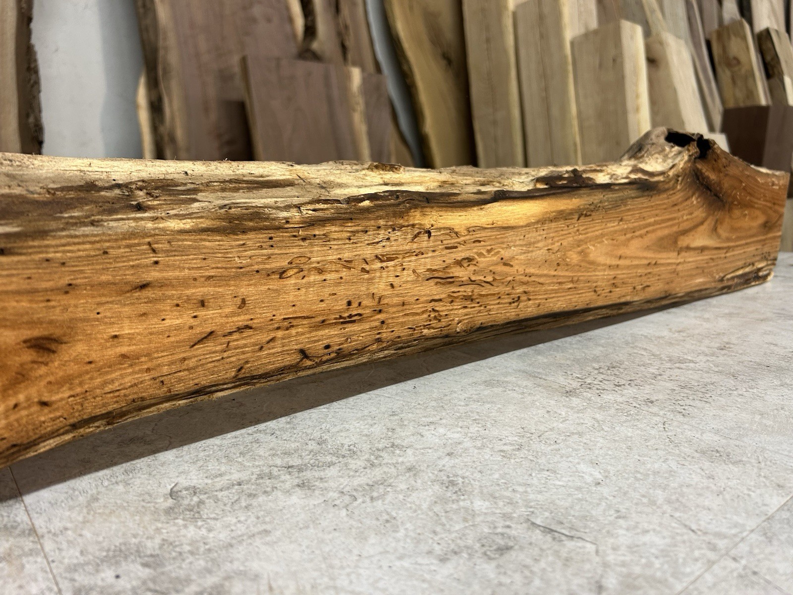 Live Edge Butternut Wood Slab/White Walnut/Kiln Dried Lumber / Turkey Call Wood