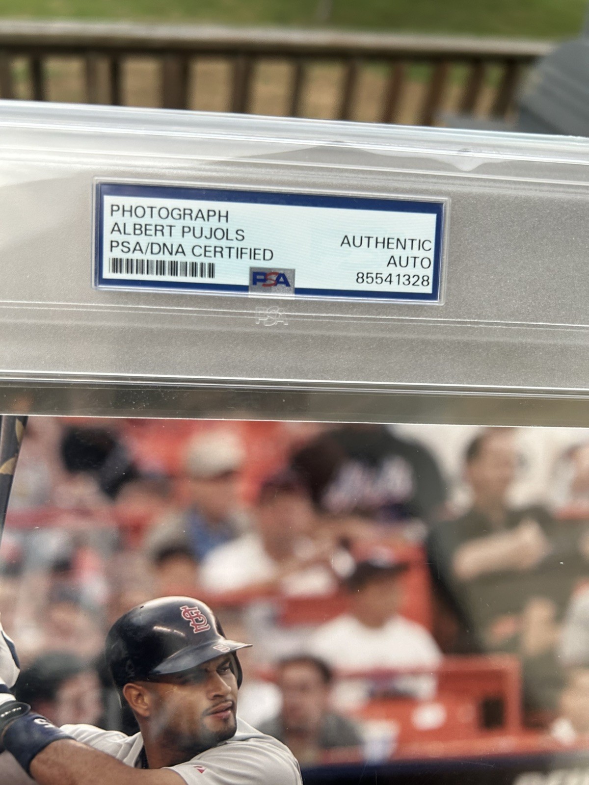 Albert Pujols PSA Slabbed Signed & Framed 8x10. PSA Authenticated view 2