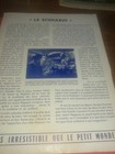 Bild 7 von 7