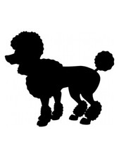 Poodle Artistic Handmade Versatile Stencil Template Reusable for Wall Decor, DIY