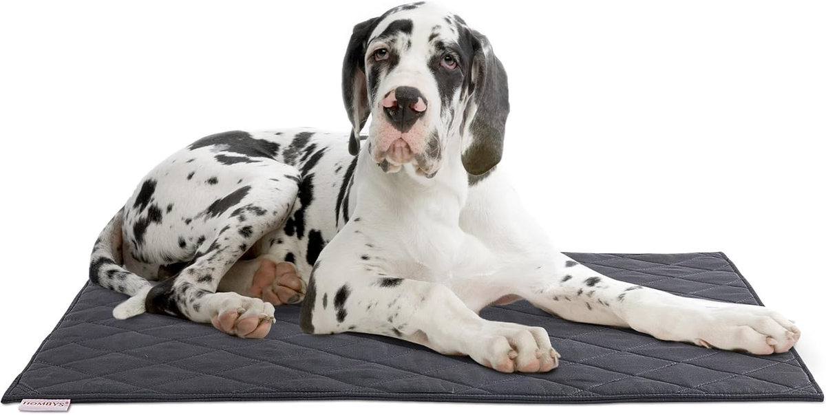 Chew Proof Dog Crate Pad Mat 35