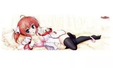 Funda Kadokawa Nagi Kodachi Dakimakura Poliéster Estampado a Una Cara Cremallera