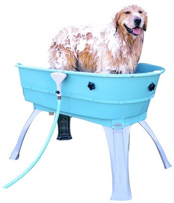 Booster Bath Elevated Pet Bathing, Teal, Large (Pack of 1) Booster Bath