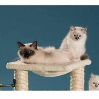 Bezug für Schlafmulde für Kratzbäume von Clevercat made in Germany viele Farben