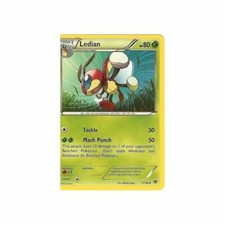 7/146 Ledian Uncommon Card: Pokemon Trading Card Game XY-01 Base Set
