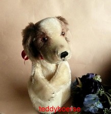 alte Steiff Handpuppe Hund  Hand-Cockie ohne Knopf 50/60er Jahre