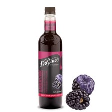 Blackberry Syrup 25.4oz - Classic Flavor for Drinks Desserts, Single Pack