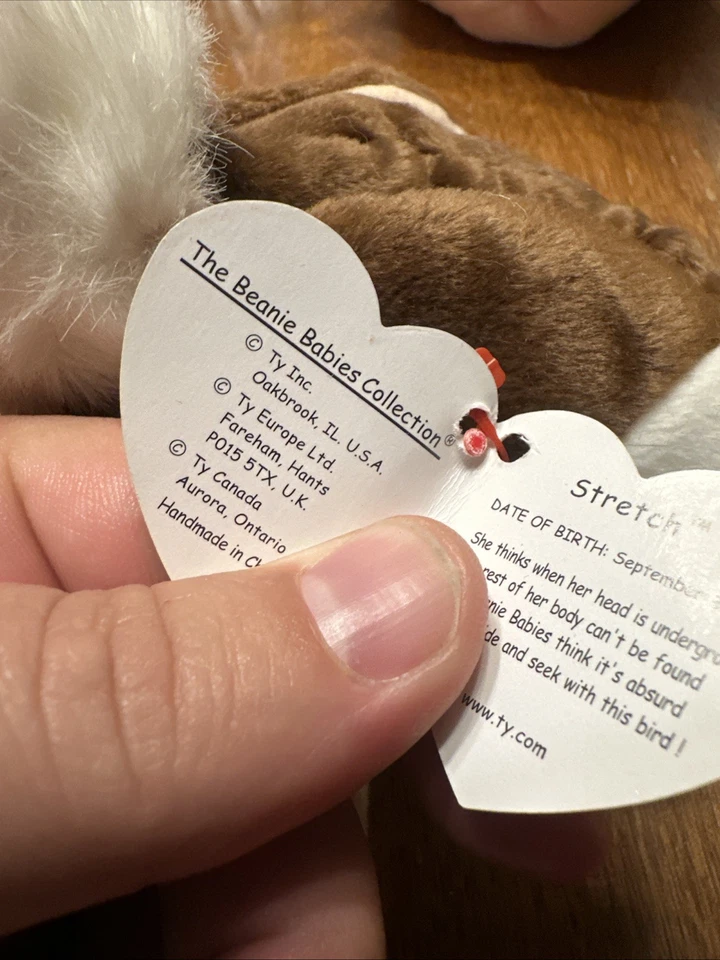 TY Beanie Baby STRETCH El Avestruz (6,5 pulgadas) Raro con Errores Como Nuevo Foto 3 de 3