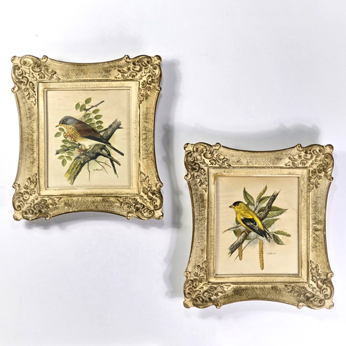 Set of 2 VTG 1950's PH Gonner Bird Prints Ornate Syroco Style Molded Wood Frames