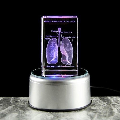 Lámpara de Mesa LED 3D Pulmón Cristal Pequeña Multicolor Moderna Novedad Táctil USB Decoración - Imagen 15 de 29