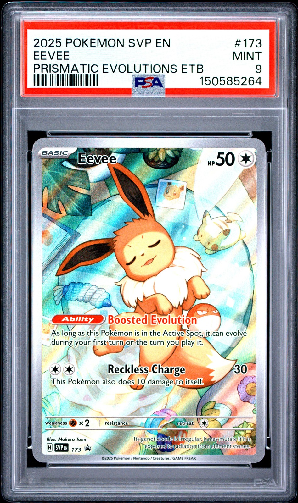 2025 POKEMON SVP EN-SV BLACK STAR PROMO #173 EEVEE PSA 9
