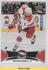 2016-17 Upper Deck AHL Red Trevor Carrick #6 READ 1ai1
