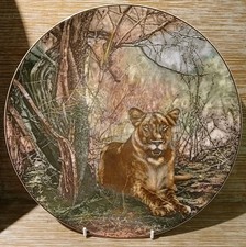 Royal Doulton D6360 African Series Lioness African Game Reserve Decorative Plate