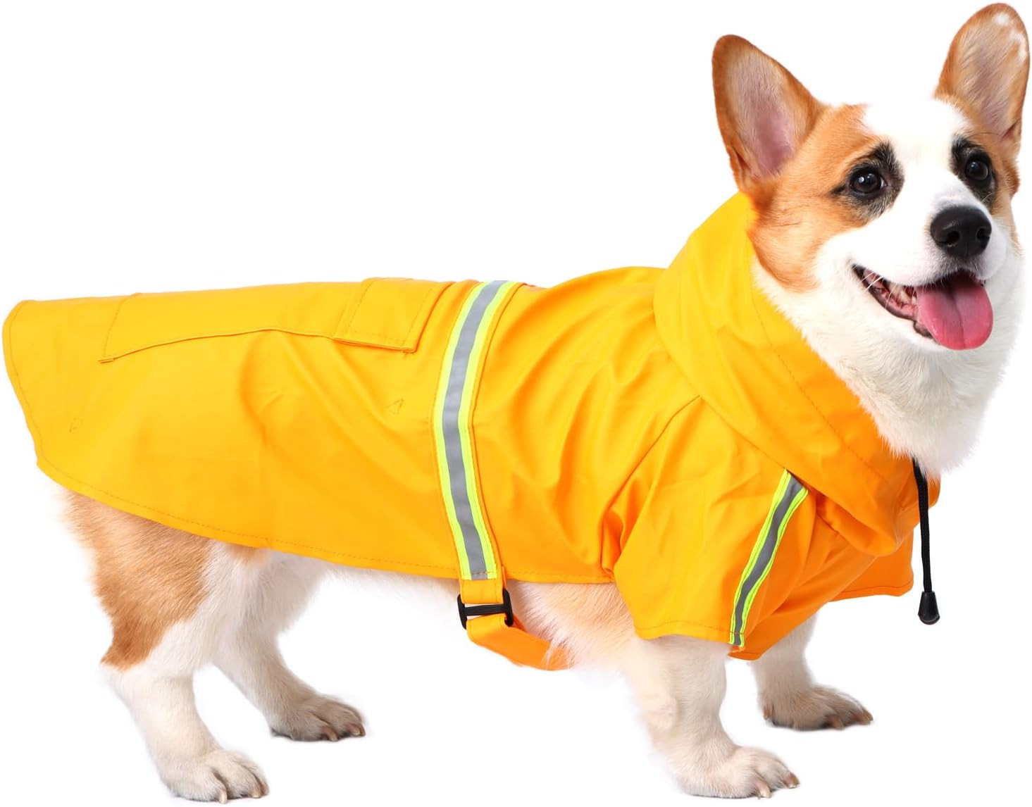Poncho Impermeabile per Cane con Cappuccio - Abbigliamento Cani Città