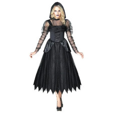 Partyholic Woman's Dark Enchantress Costume - Medium 8-10 