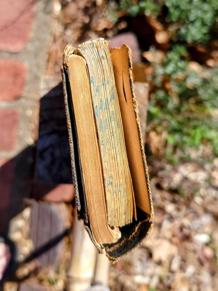 2 Antique 1879 Diaries Athens OH Bates Church Teacher Homemaker Mayhugh Diary  Foto 3 de 4