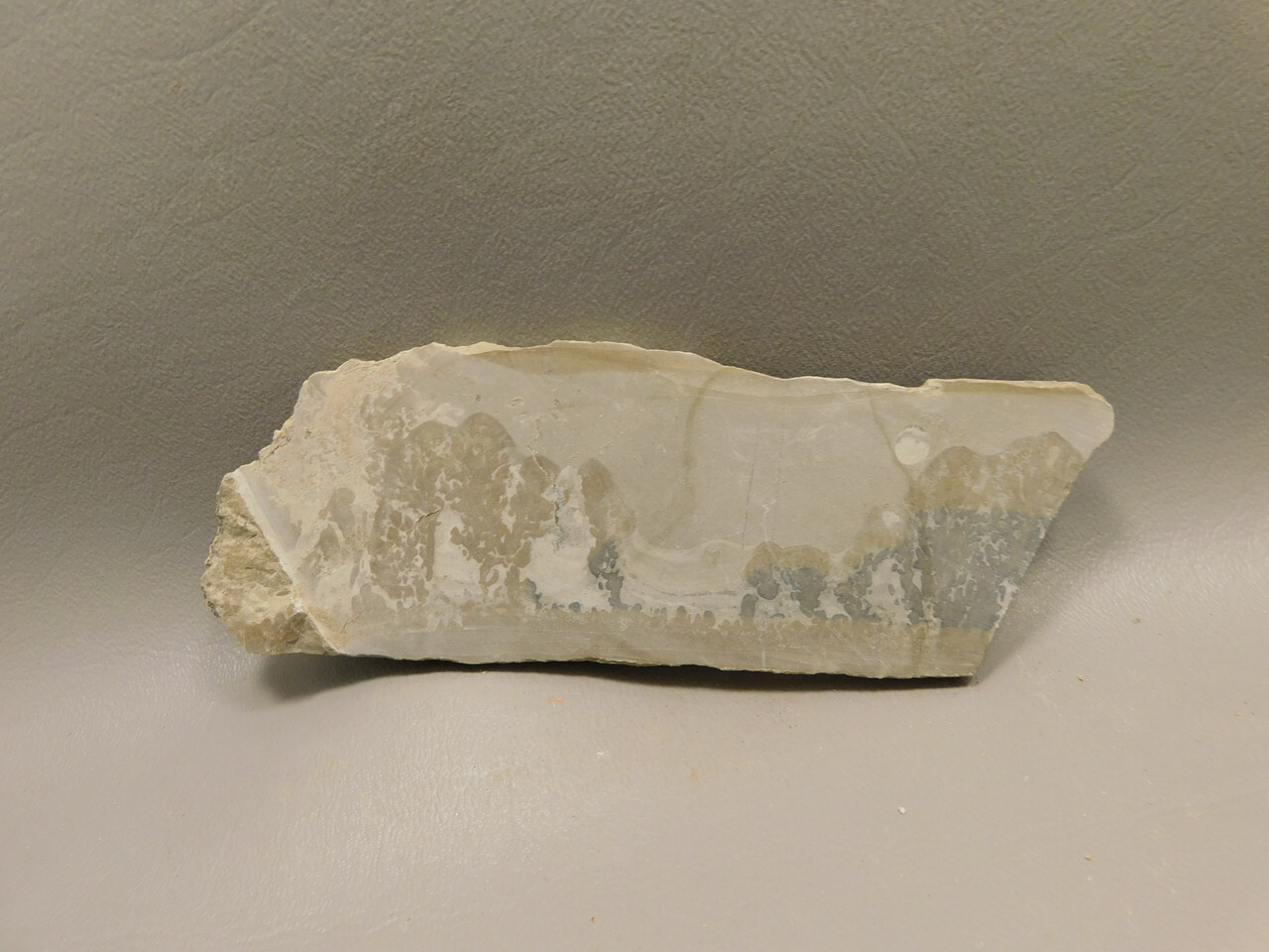 Picture 4 of 6