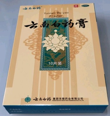1 Box (10x) Chinesische Schmerzlinderungspflaster, 10 Pflaster je Box, Exp. 2028