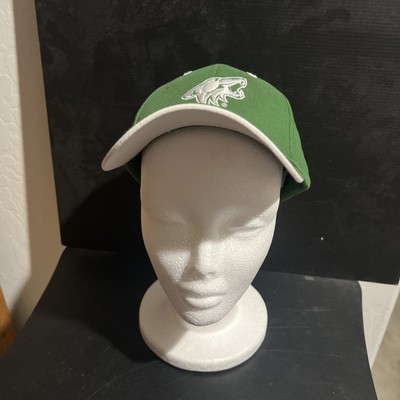 Arizona Coyotes Hat Cap Strapback Green St. Patrick s Day Promo Fry s Foods NWOT