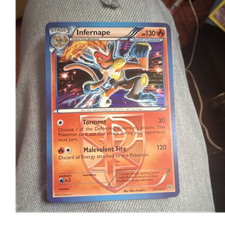 Infernape (Team Plasma) 17/135 Plasma Storm Holo Rare EN 130HP on eBay