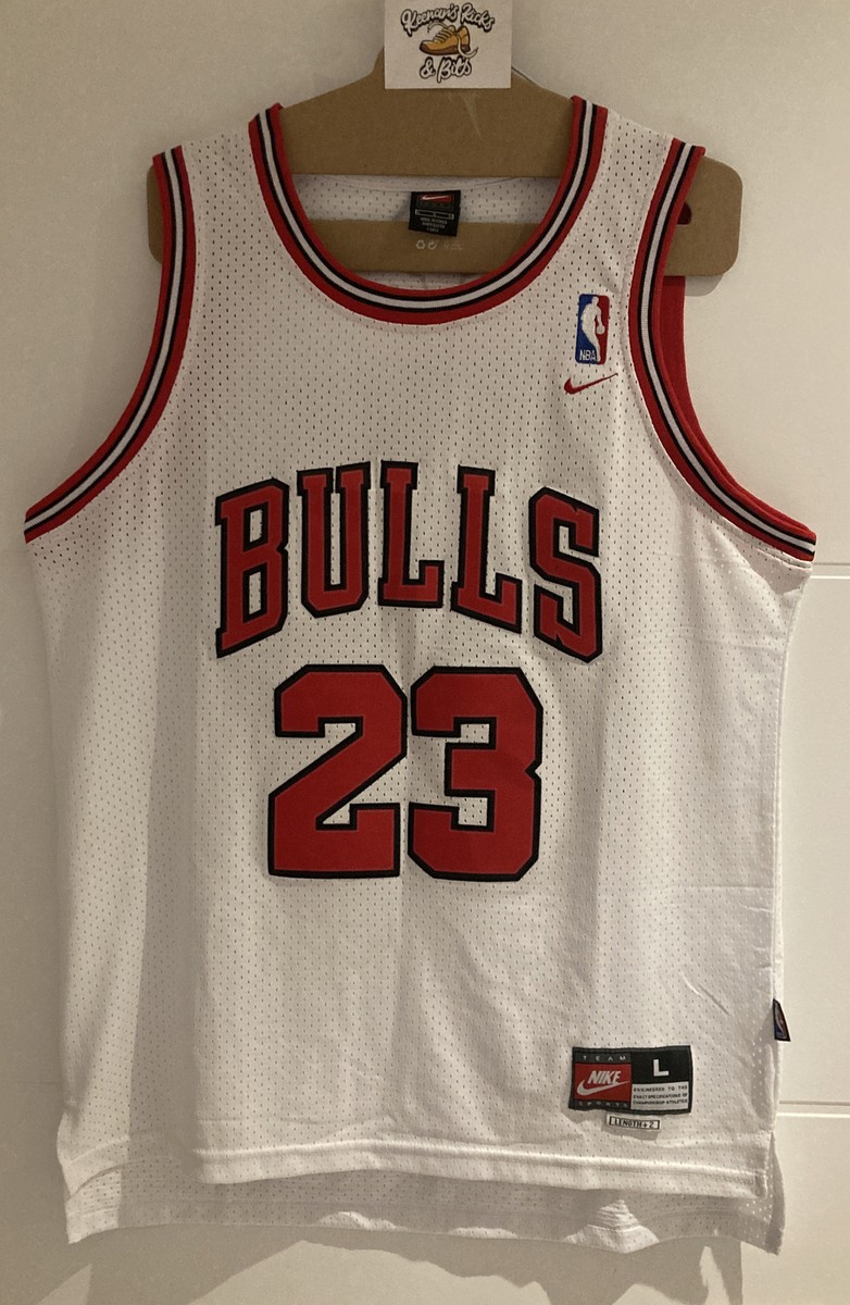 Nike Chicago Bulls #23 Jordan Basketball Stitched Swingman