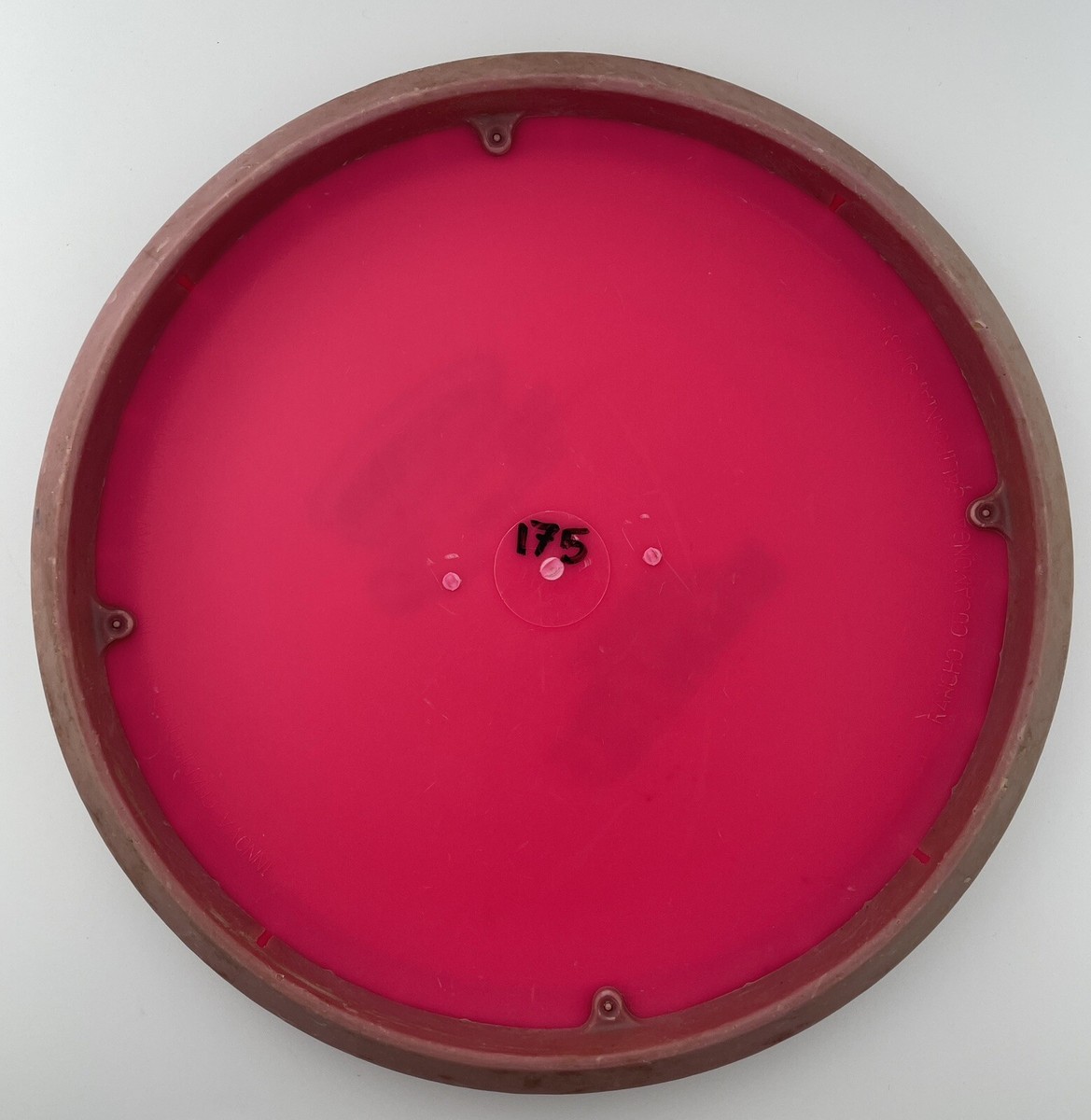 Innova XT Nova Paul McBeth 4x World Champion 175g | eBay