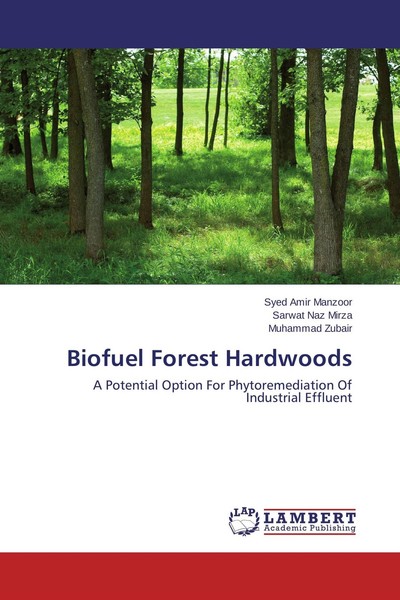 Biofuel Forest Hardwoods, Muhammad Zubair-image