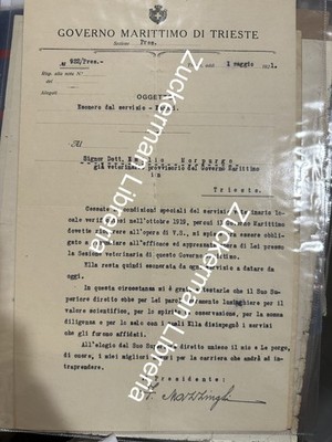 document MARITIME GOVERNMENT TRIESTE