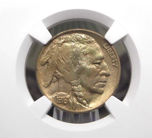 1916 "P" Indian Head BUFFALO Nickel 5c NGC Unc Details #012 Uncirculated ECC&C