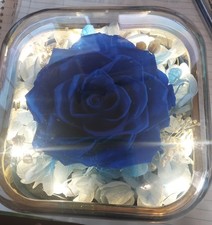 Preserved Rose "I Love You Forever" Lights Up