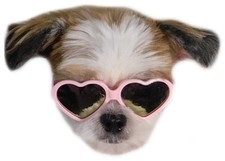 G016 Dog Cat Pet Heart Sunglasses Glasses for Small Breed up to 15lbs Heart ...