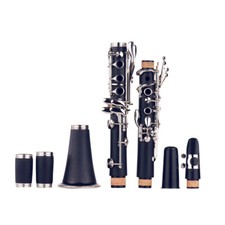 ABS 17-Key Clarinet Bb Flat with Carry Case Gloves Cleaning Cloth Screwdriver