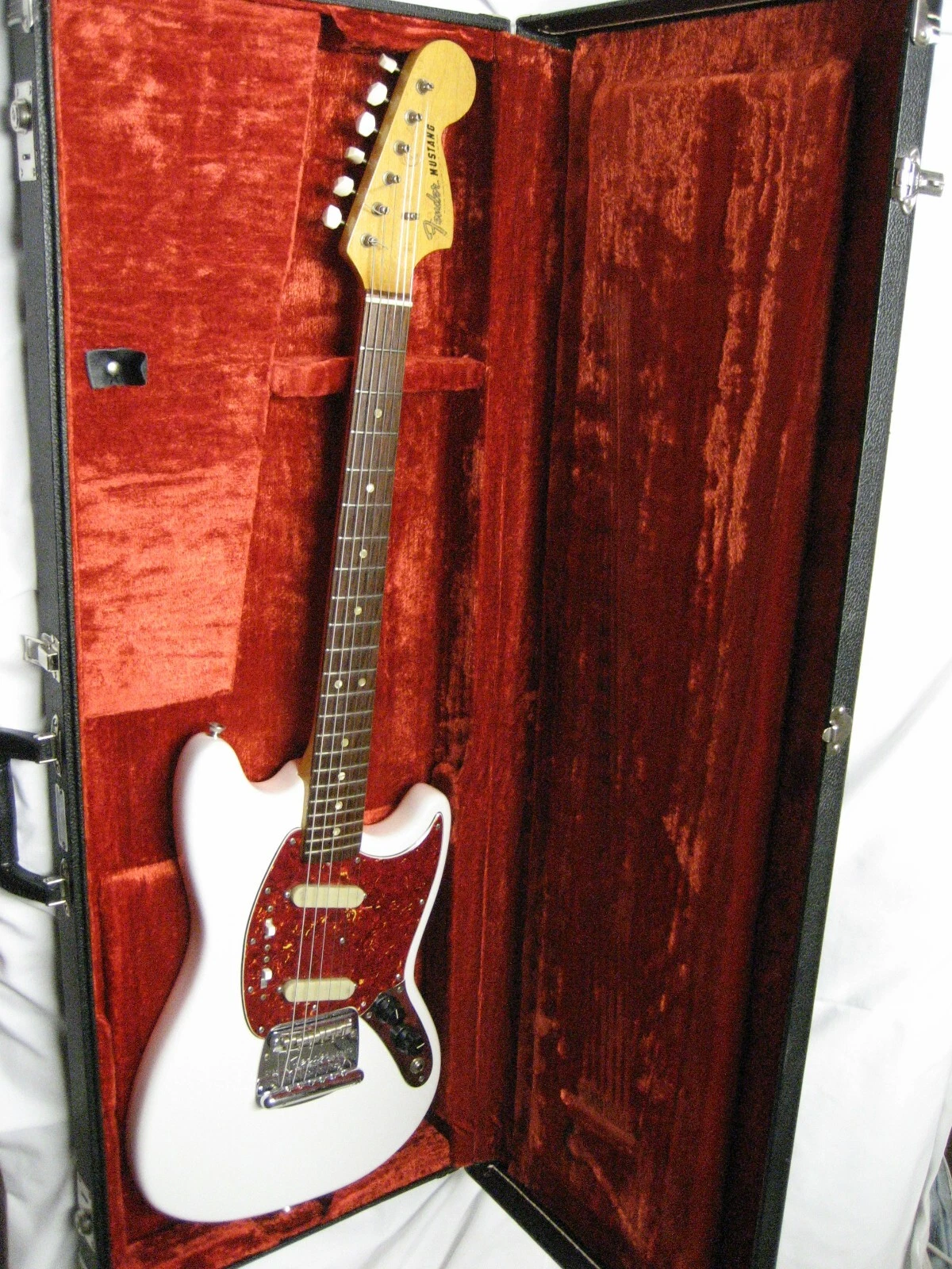 Picture 6 of 6