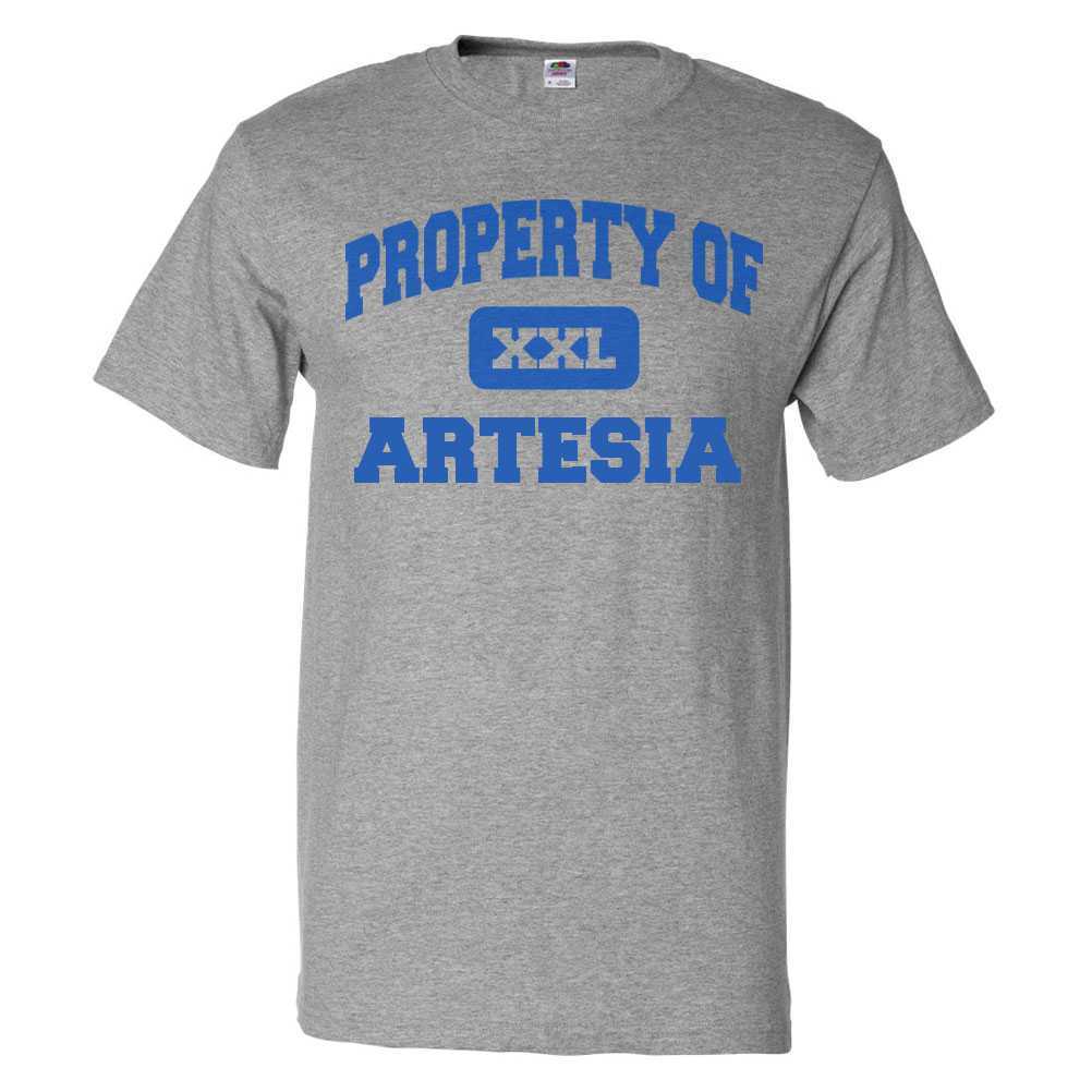 Property of Artesia T shirt Funny Tee | eBay