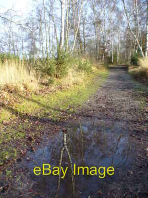 Photo 6x4 Whitmoor Common Track Worplesdon Wide and fairly well drained t c2007
