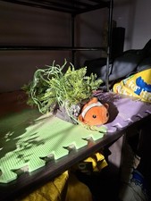 Decorative Cave Handmade Out Of Recycled Materials Perfect For Aquarium/vivarium