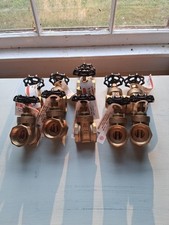 1 1/4 brass gate valve