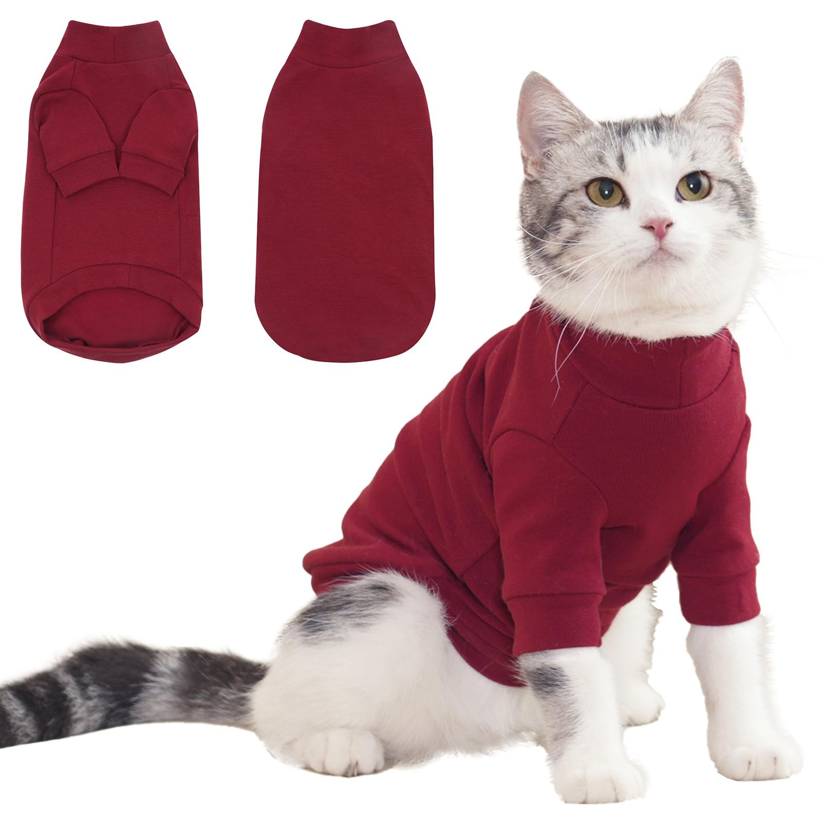 Vêtement d'hiver pour chats idéal pour les siestes au frais et nuits fraîches