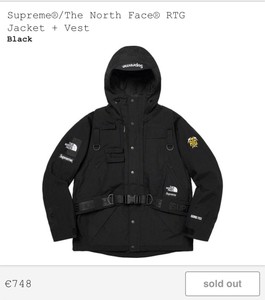 ebay north face vest